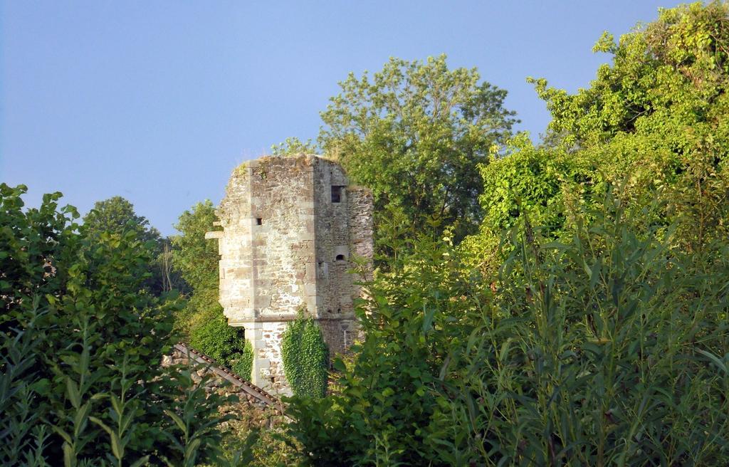 Bed & Breakfast Chateau De La Chasse-guerre