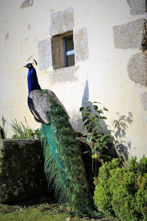 Bed & Breakfast Chateau De La Chasse-guerre Hardanges