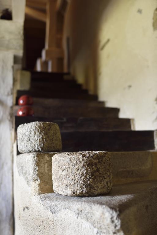 Chateau De La Chasse-guerre Bed & Breakfast *