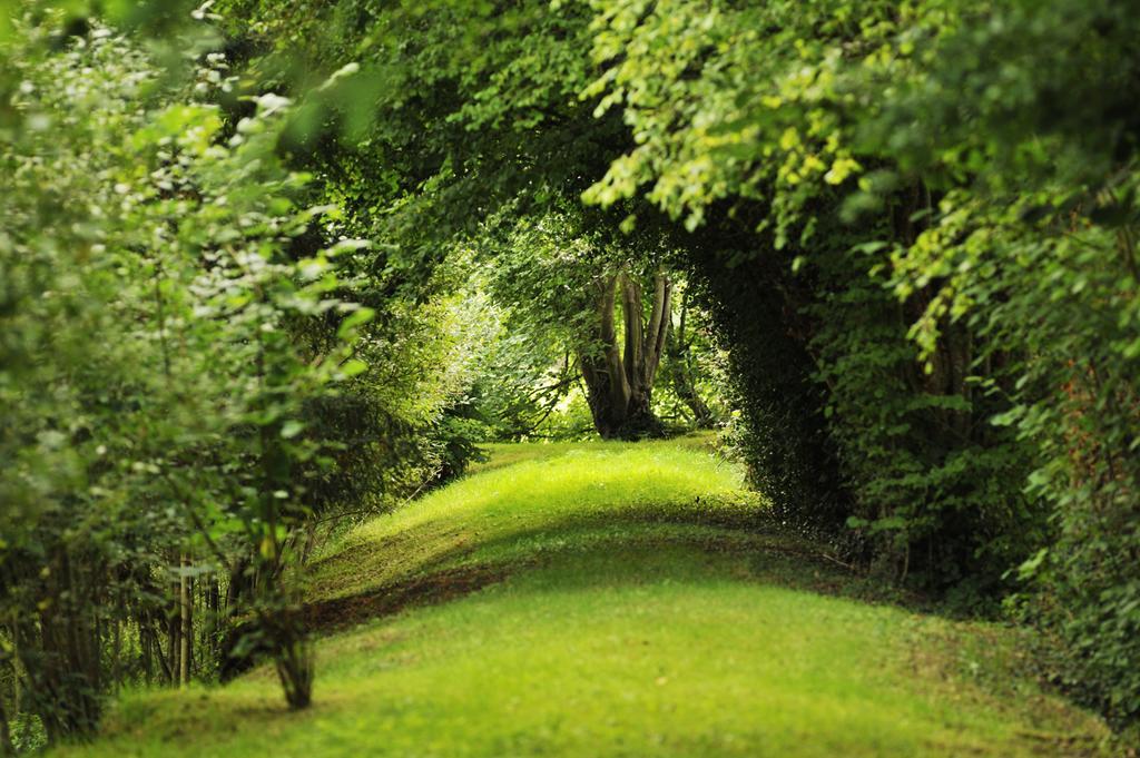 Chateau De La Chasse-guerre *